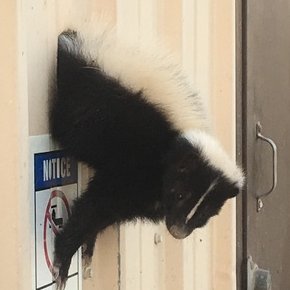 Charl 🦨 tweet media