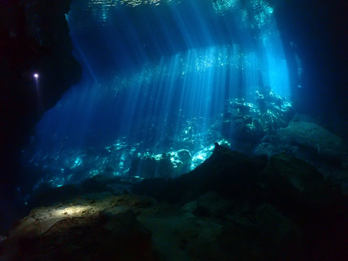 みて、セノーテ潜ってきた