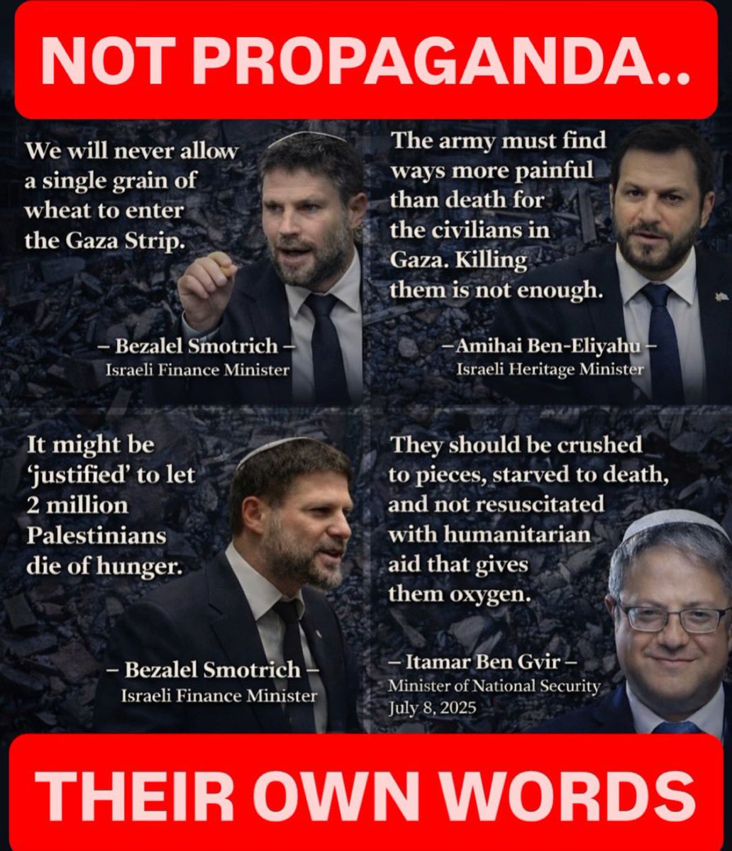 Henry Wigboldus tweet media