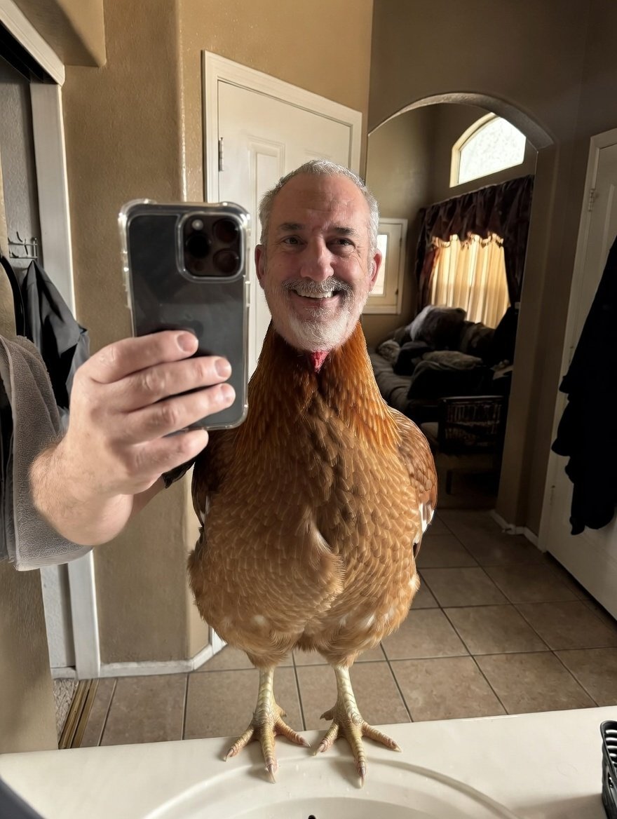 Mo in AZ tweet media