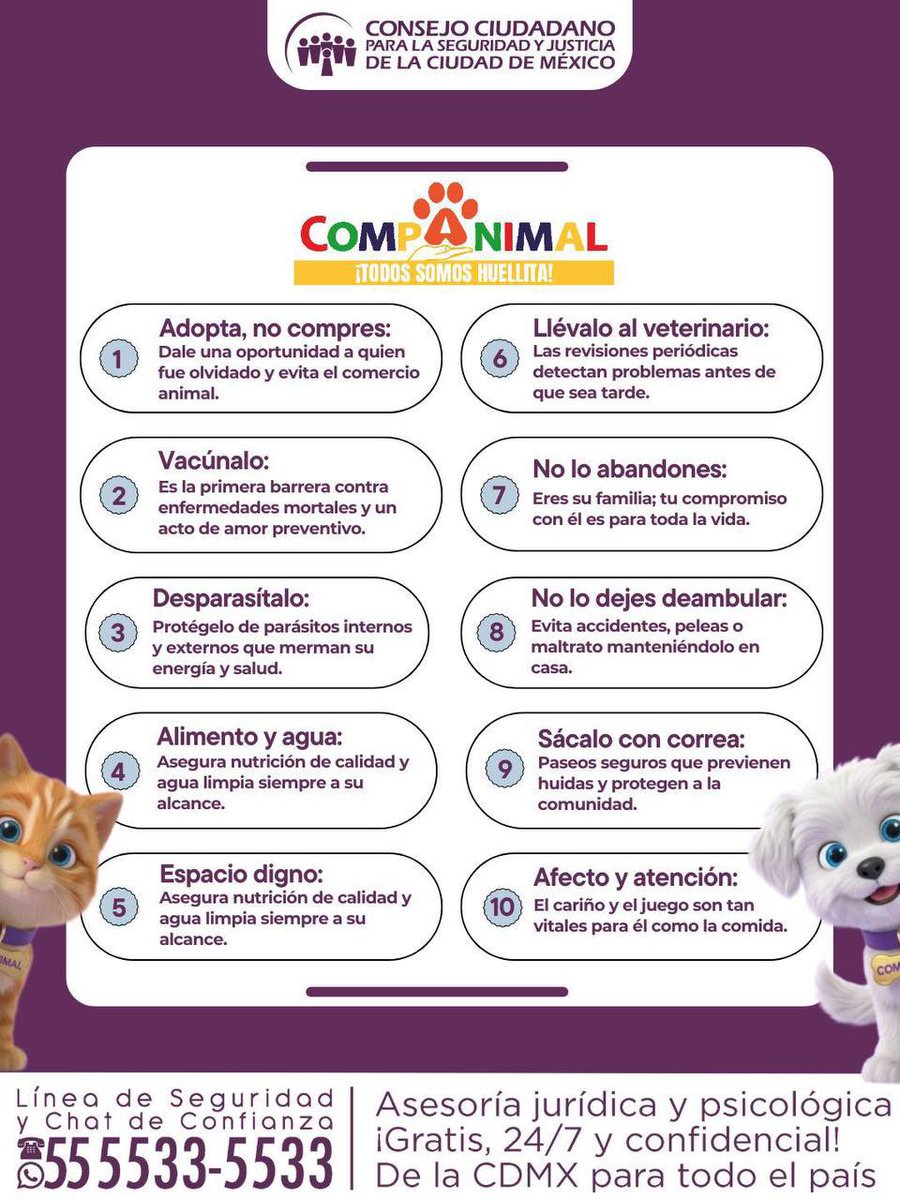 elconsejomx's tweet photo. Conoce nuestro Decálogo de #CompAnimal, una guía para promover el respeto, la protección y seguridad de los seres sintientes. En #ElConsejo brindamos orientación y acompañamiento ante maltrato o abandono en la Línea de Seguridad y Chat de Confianza: 55 5533 5533. https://t.co/mnnfuDlq3I