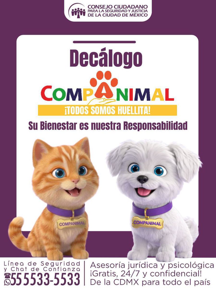 elconsejomx's tweet photo. Conoce nuestro Decálogo de #CompAnimal, una guía para promover el respeto, la protección y seguridad de los seres sintientes. En #ElConsejo brindamos orientación y acompañamiento ante maltrato o abandono en la Línea de Seguridad y Chat de Confianza: 55 5533 5533. https://t.co/mnnfuDlq3I