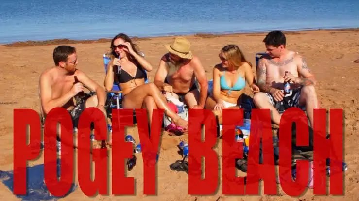 Scotian82 tweet media