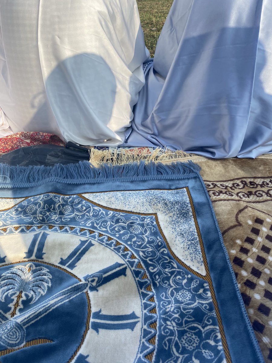 Sully ²⁶ 𝜗𝜚 tweet media