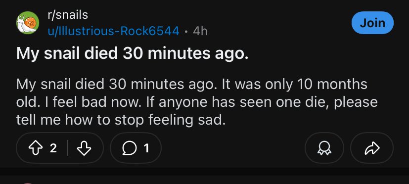 Mr. Biscuit tweet media