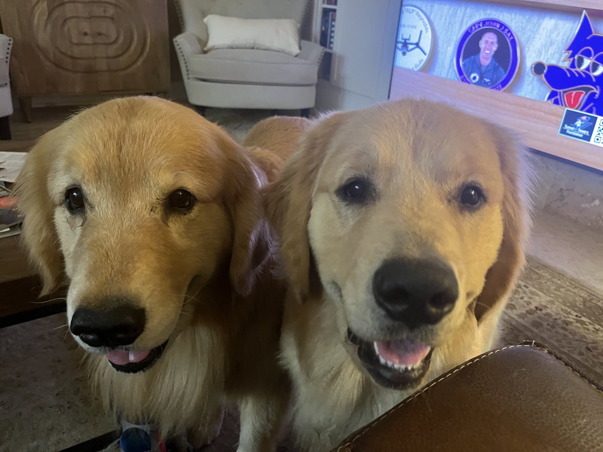 Susan 🇺🇸🐊 tweet media