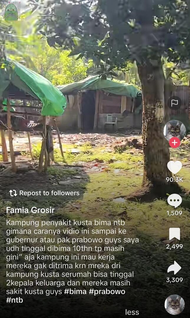 Tanyarlfes tweet media