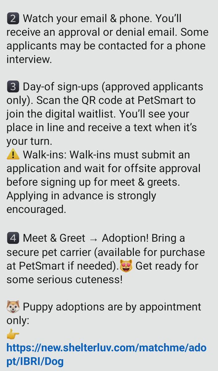 Itsie Bitsie Rescue tweet media