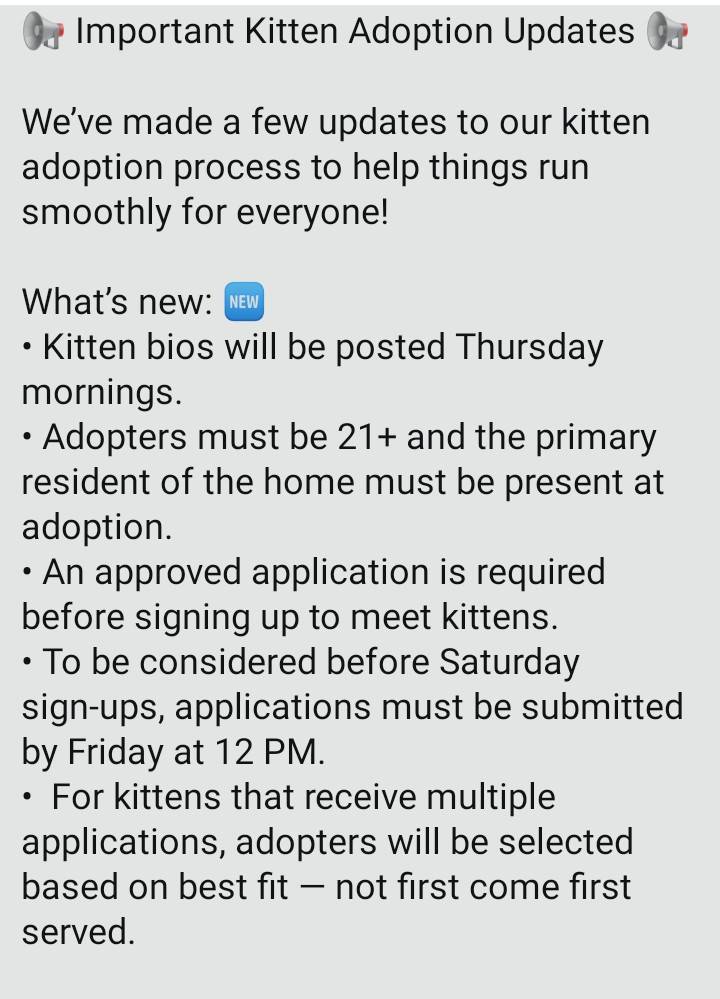 Itsie Bitsie Rescue tweet media