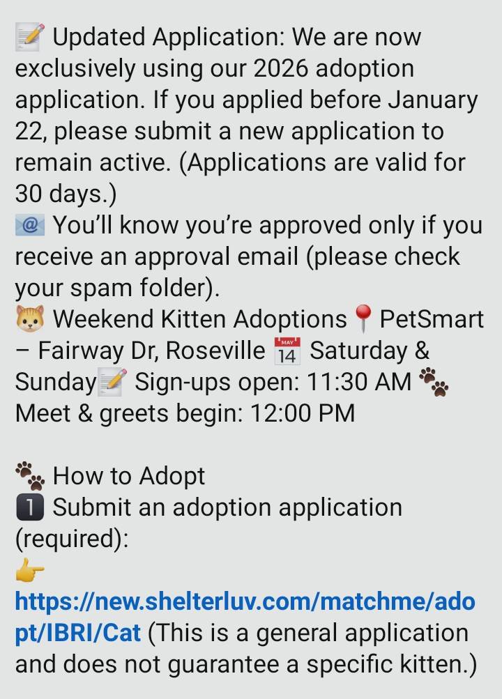 Itsie Bitsie Rescue tweet media