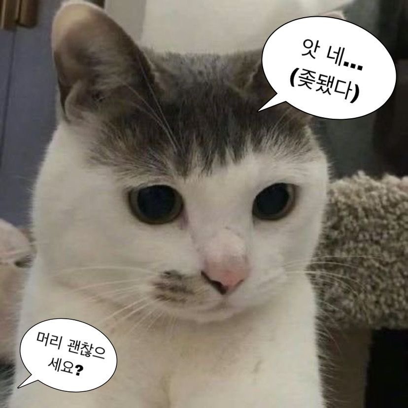 Conservative🇰🇷🇺🇸🇯🇵 tweet media