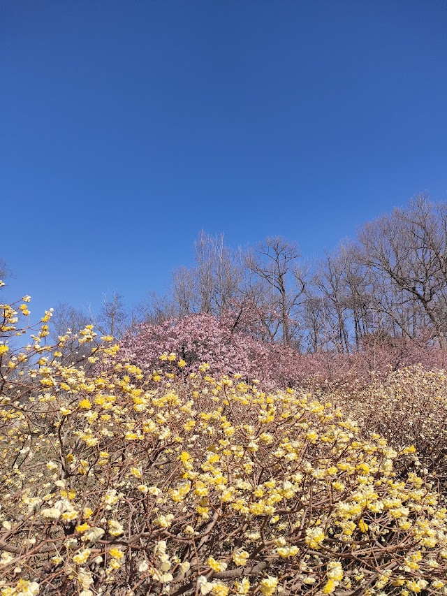 宮城県柴田町観光物産協会 tweet media