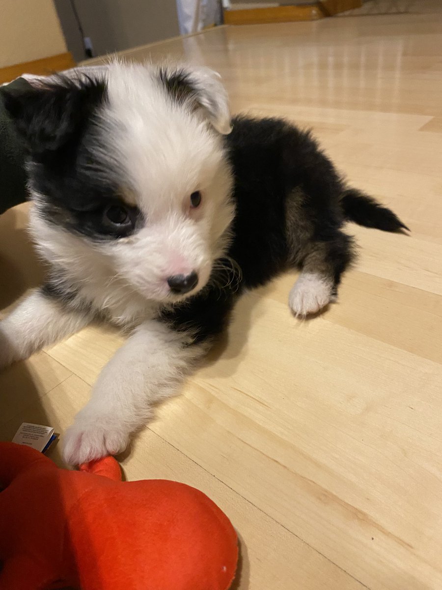 kaydence tweet media