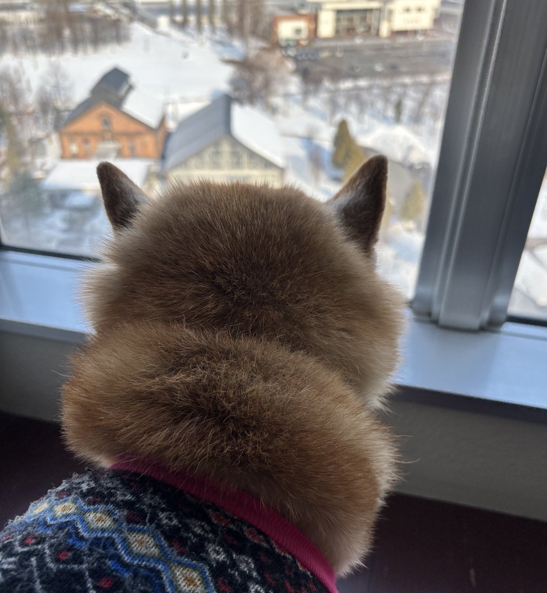 Koonie & Yuta tweet media