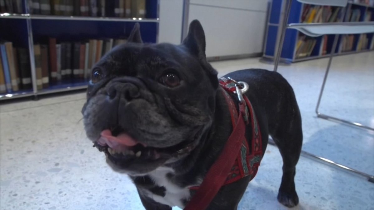 ABC30 Fresno tweet media