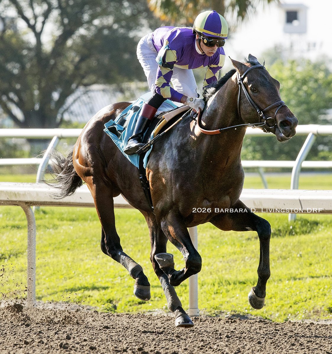 Barbara D. Livingston tweet media