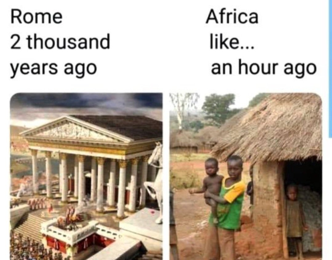 Ann Schwaiger tweet media