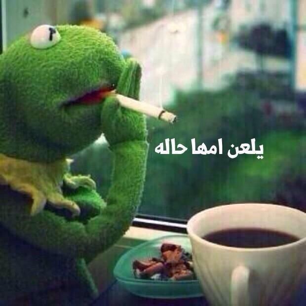 د.نؤطه👑 الملكي 19🏆 tweet media