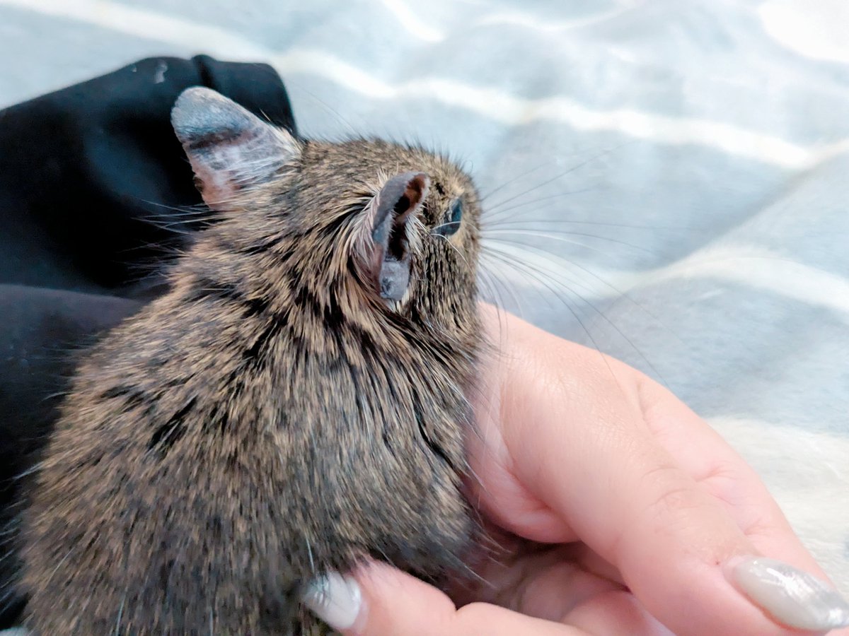 moyo.*·☽ tweet media