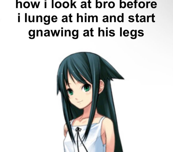 ⊹ ࣪ ˖ nezu 🏥 tweet media