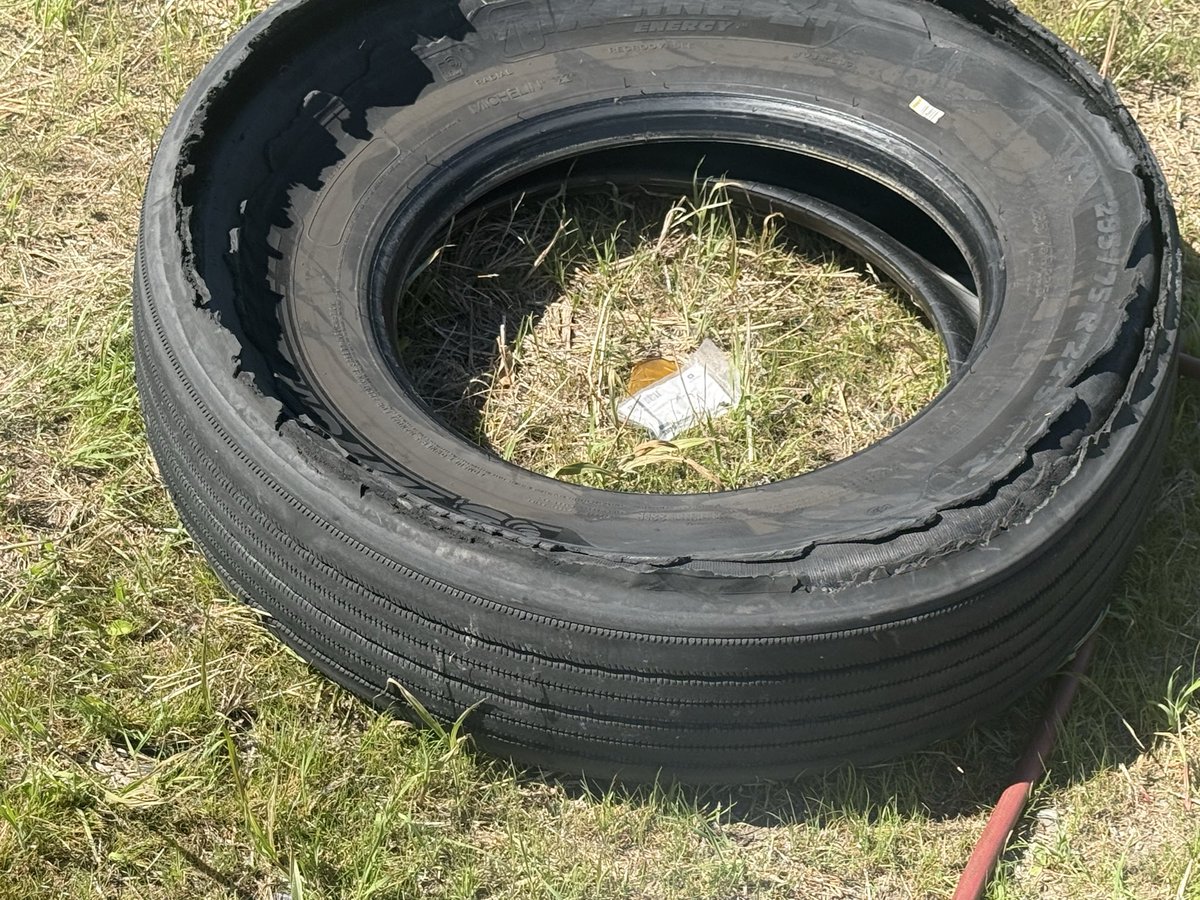 SevastianWinters tweet media