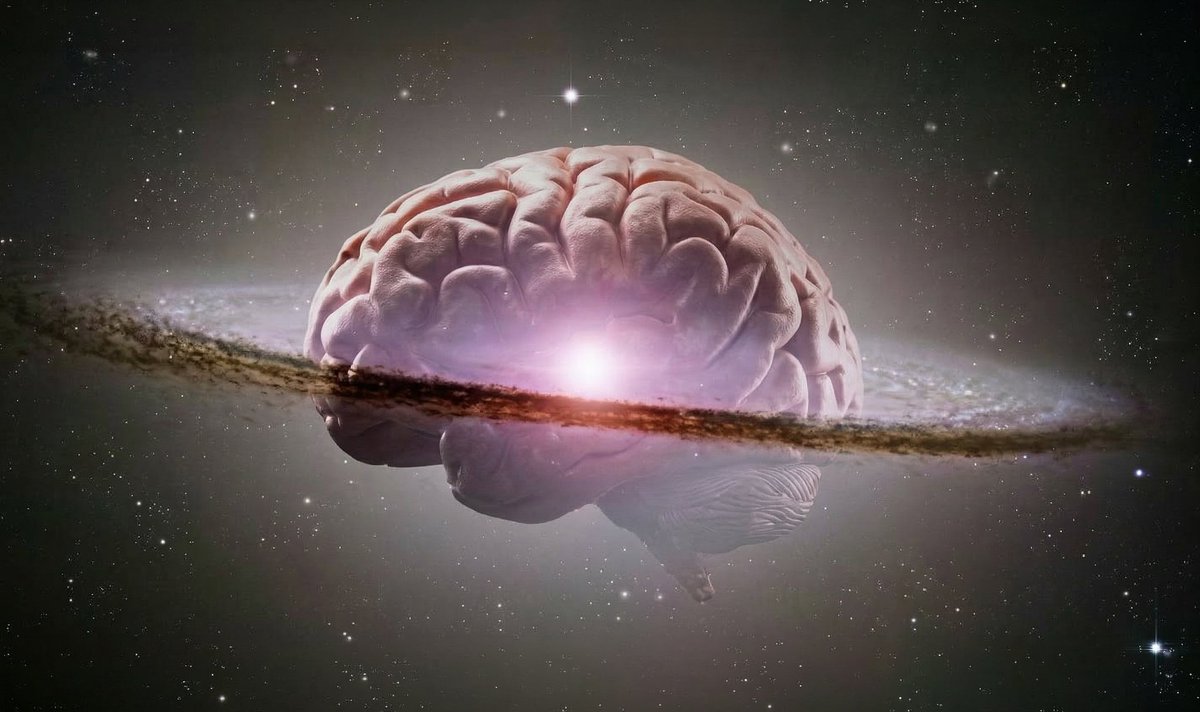 Scope News Daily tweet media