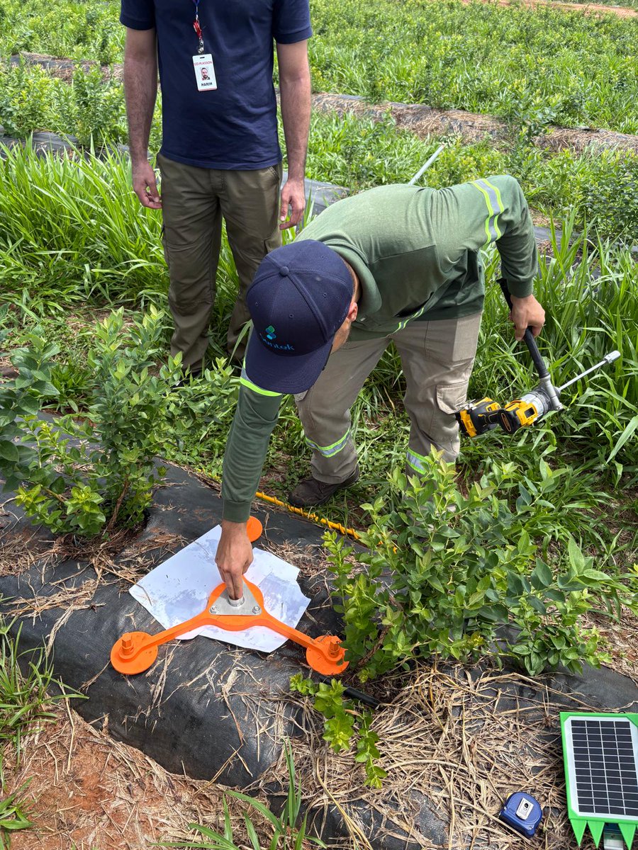 Sentek Technologies tweet media