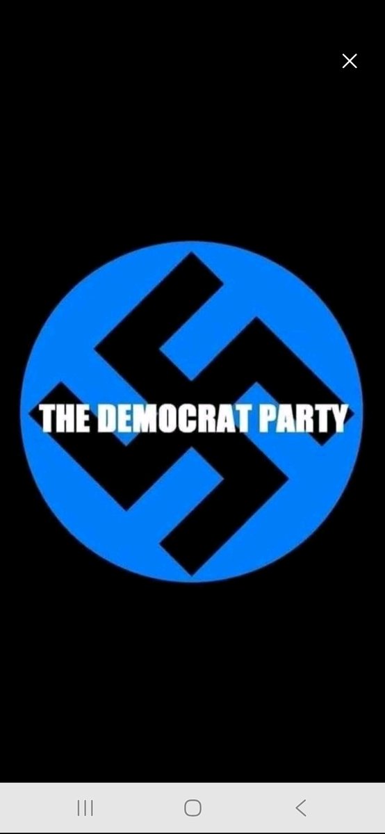 Red Bright tweet media