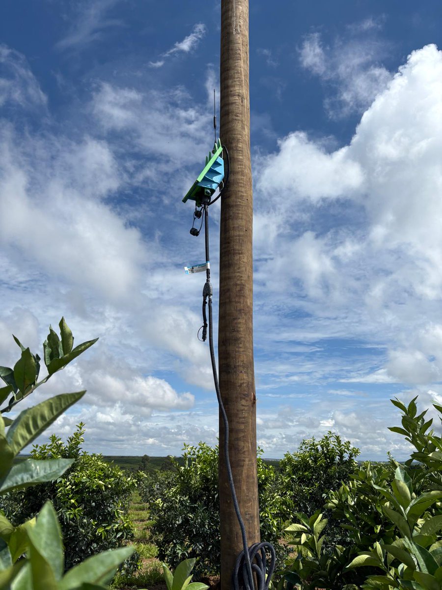 Sentek Technologies tweet media