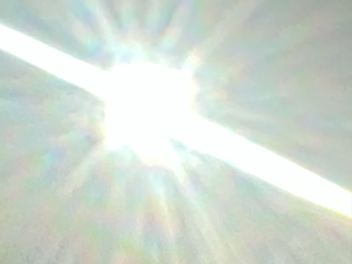 ・❥・ tweet media