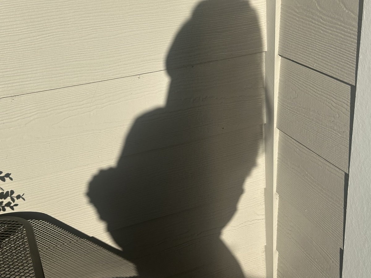 ・❥・ tweet media