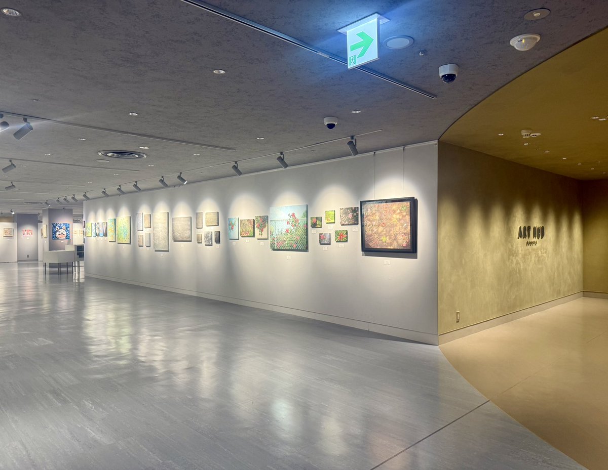 KAISO☁️ tweet media