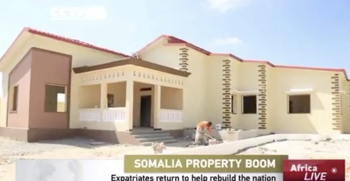 Dennis Michael Lynch tweet media