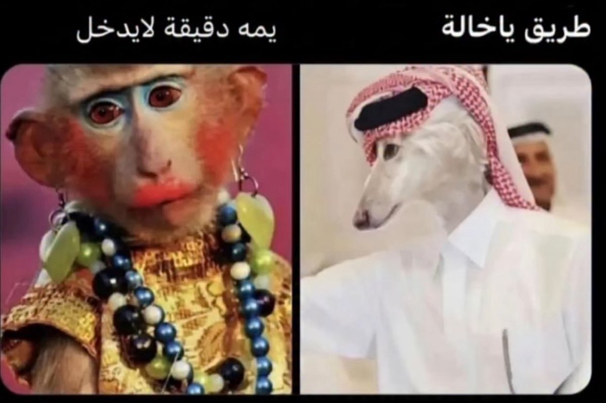 La Sombra del Sol Invisible tweet media