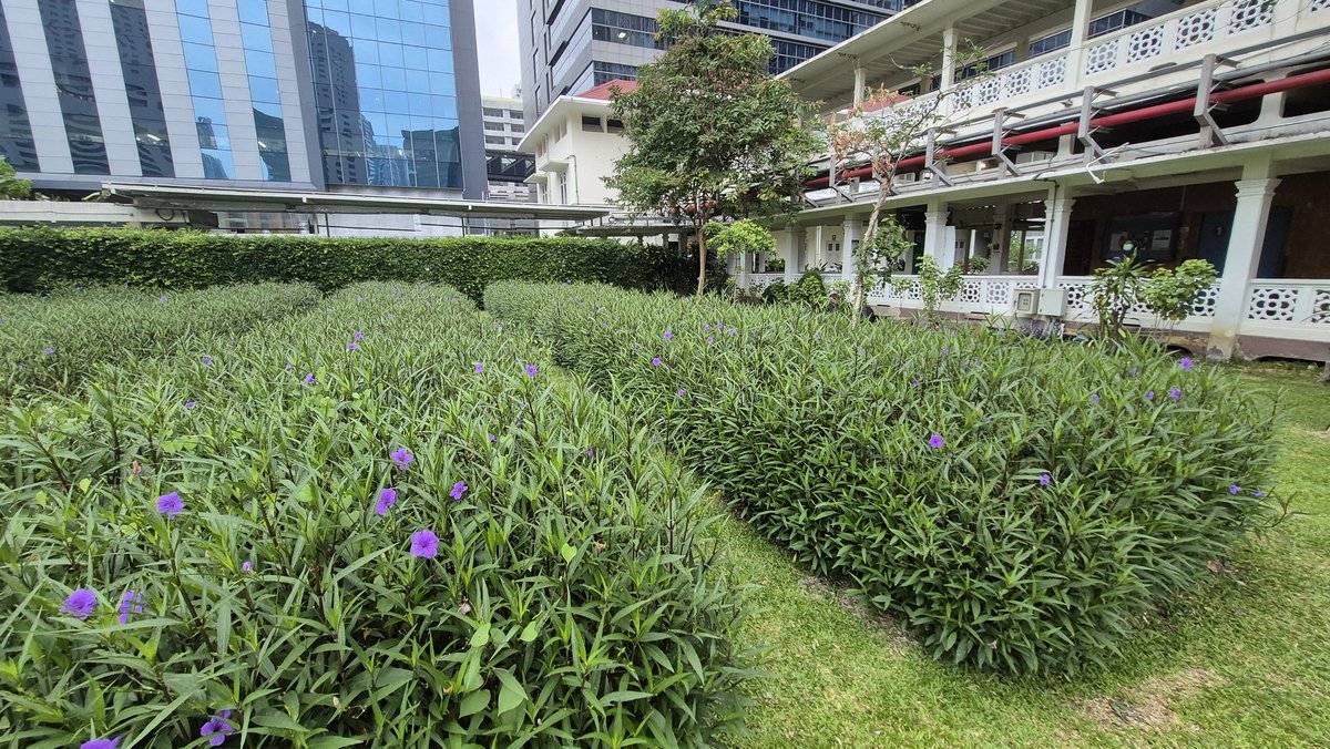 Soonthon Prueksapipat tweet media