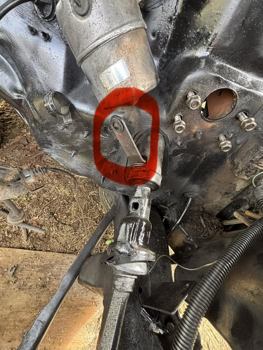 Connie 🇺🇸 tweet media