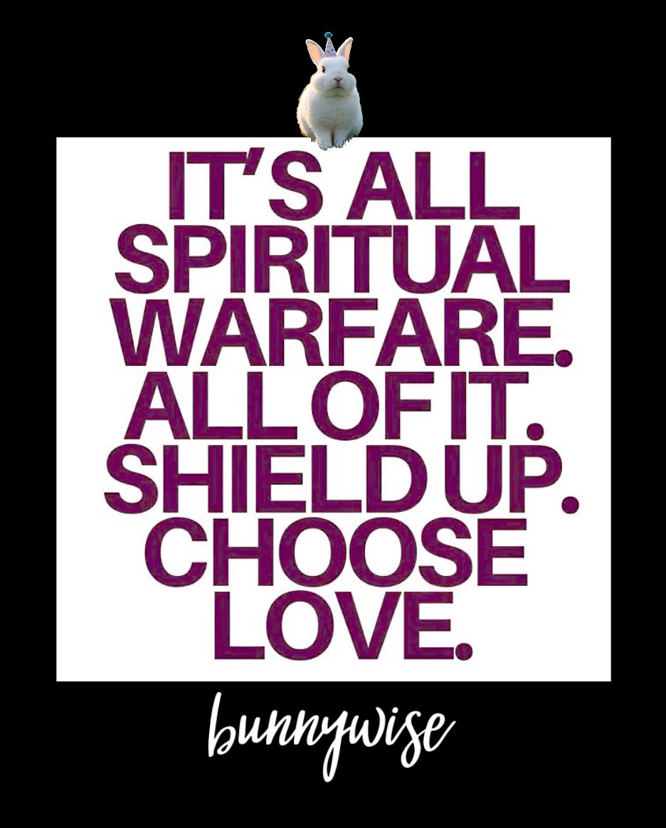 bunnywise tweet media