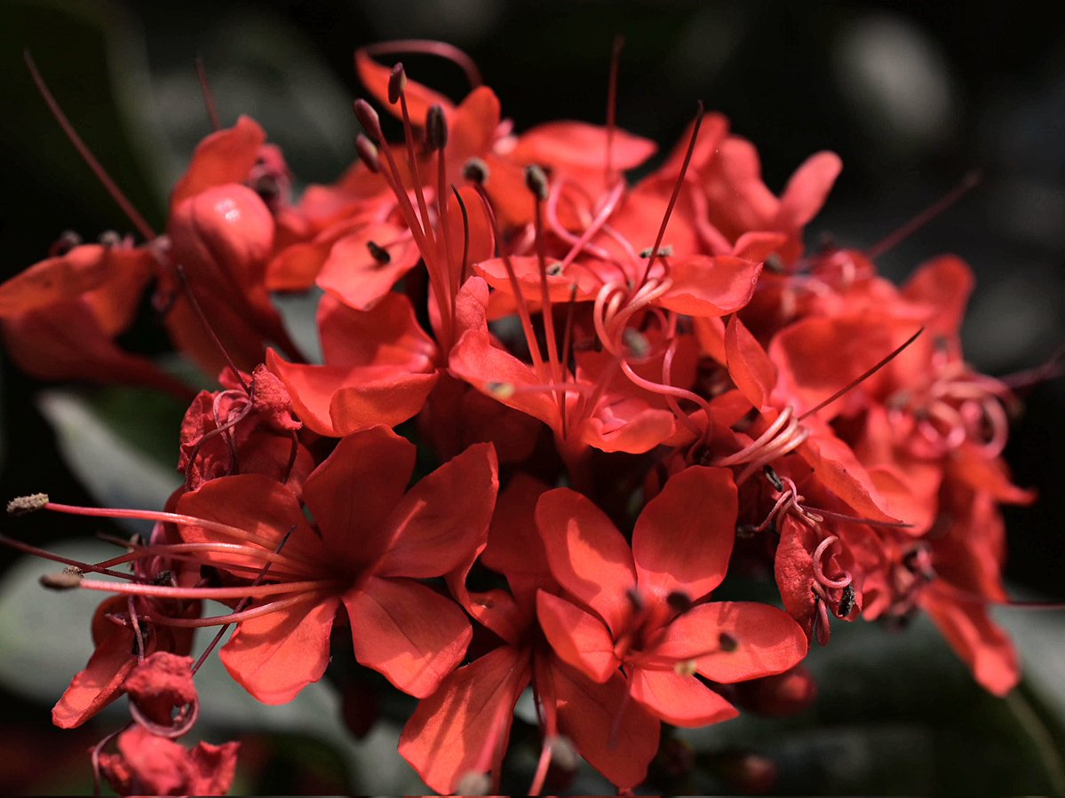 Jagdeep Singh tweet media