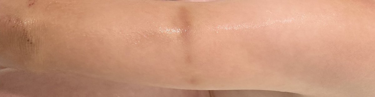 Sarah Fields tweet media