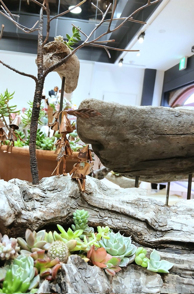 atelier_ours's tweet photo. 今日は【トハメルカド】

伊勢崎市の堺赤レンガ倉庫で
流木とこびとのガーデンアイテムを販売していますʕ•ᴥ•ʔ https://t.co/jo9tXb2ZX4
