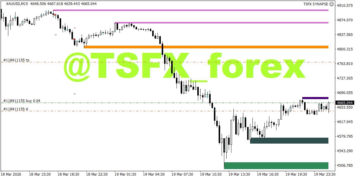Trading Signals Fx ® tweet media