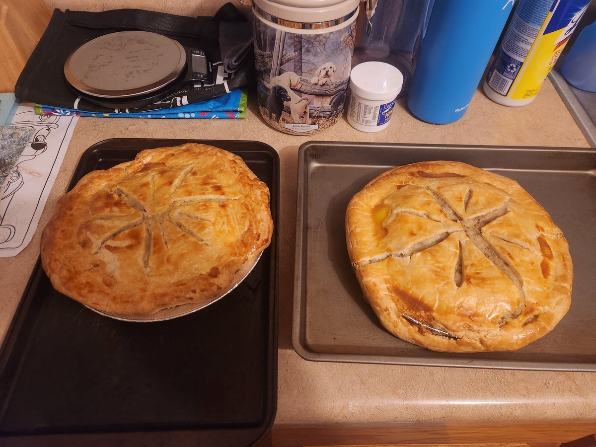 🐦🔥🕊🐕🐕🦺 Swoop🦮𓆈𓅐𓅣 tweet media