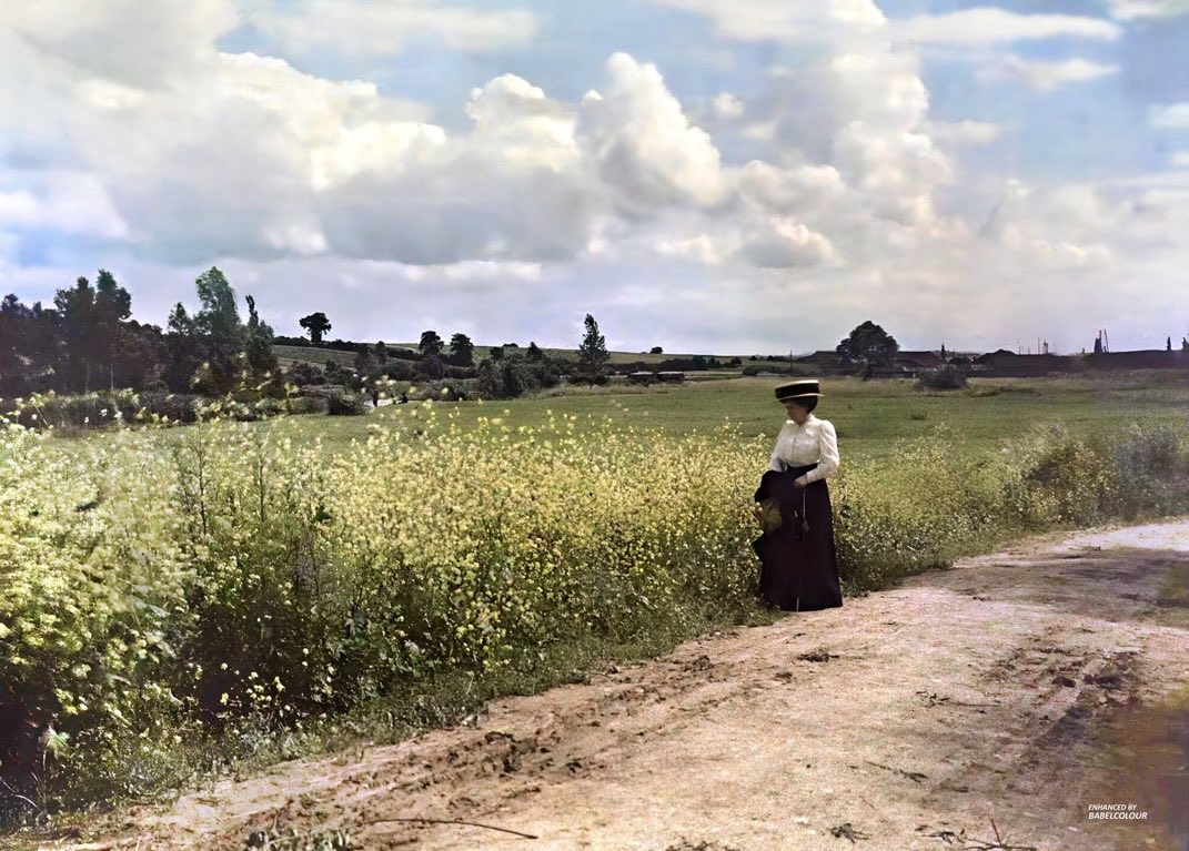 L.M. Montgomery 🍁 tweet media