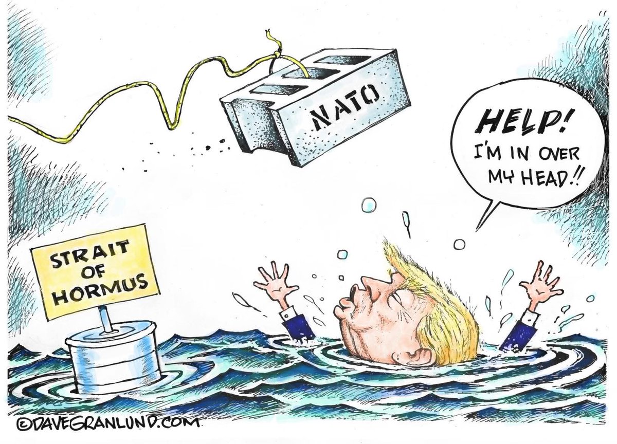 Pissed off American Voter💙💙💙🌊🌊🌊🌊 tweet media