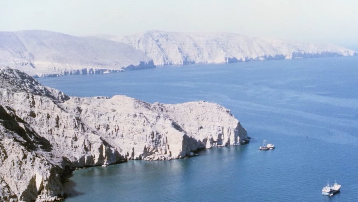 dane 🚩 tweet media