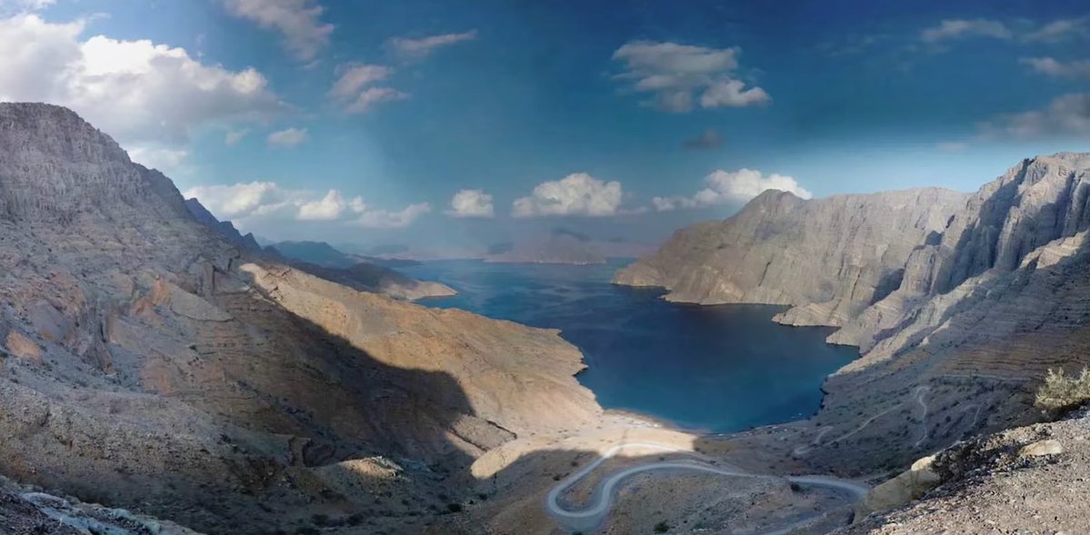 dane 🚩 tweet media