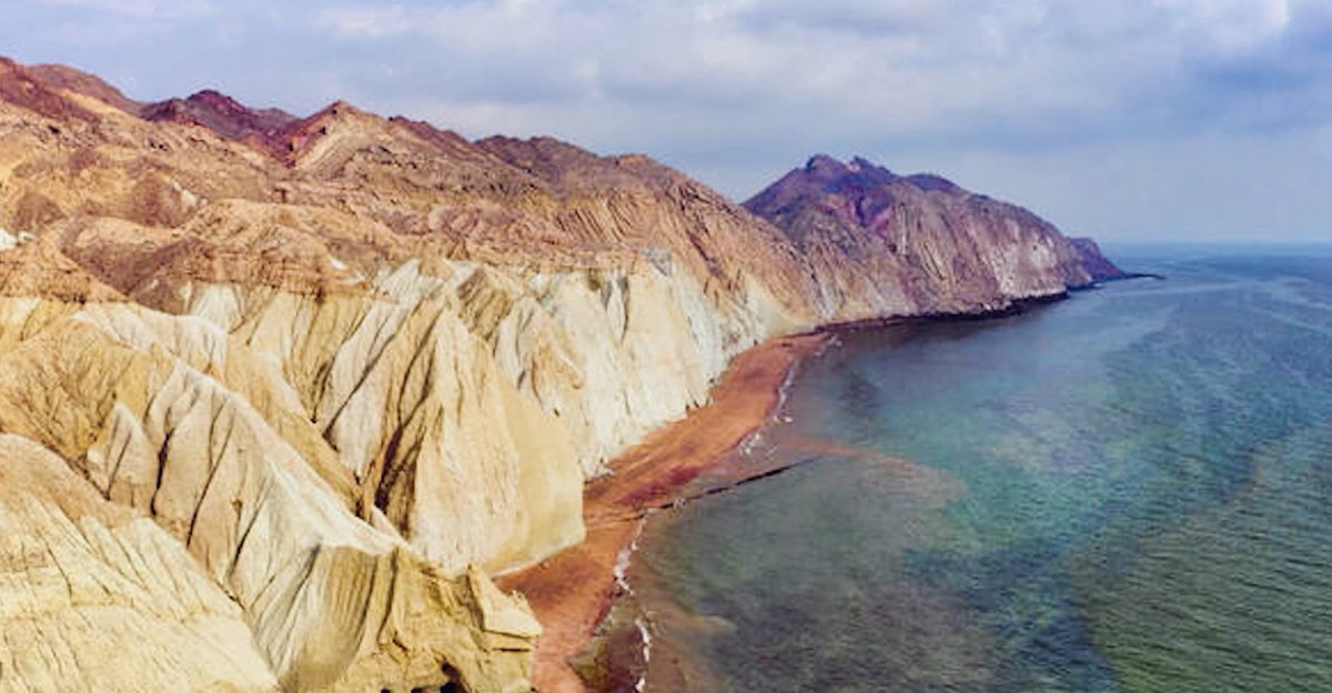 dane 🚩 tweet media