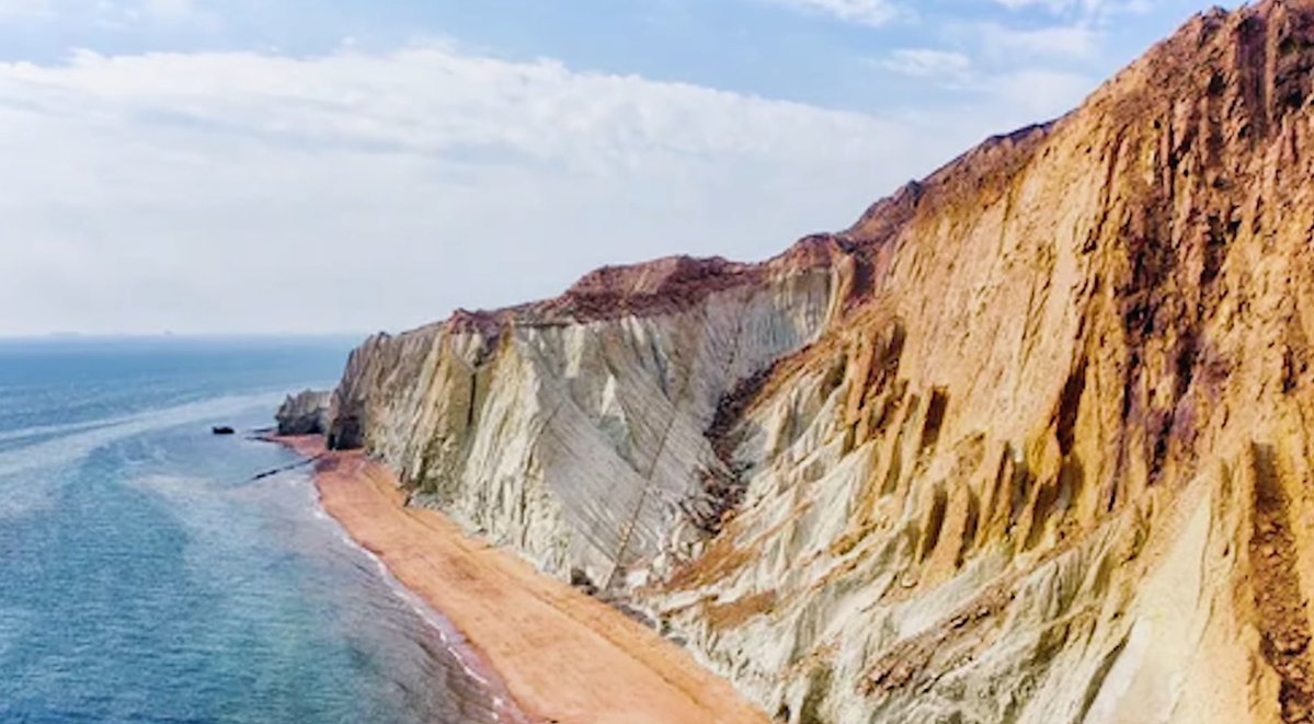 dane 🚩 tweet media