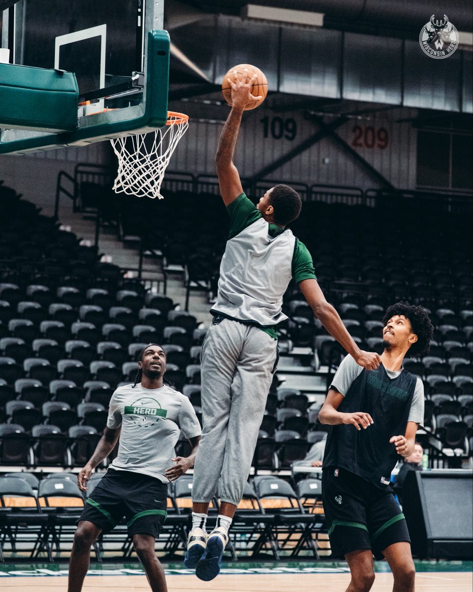 Wisconsin Herd tweet media