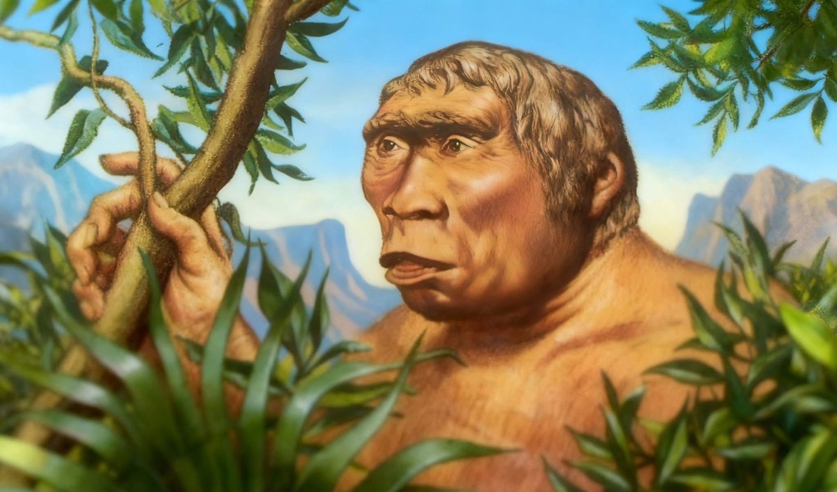 🇮🇩 JoseFallaR - 🔟⭐️ tweet media